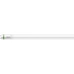 Philips MASTER LED Tube T8 (EM/Mains) Ultra Efficiency 17.6W 3700lm - 865 Tageslichtweiß | 150cm - Ersatz Für 58W